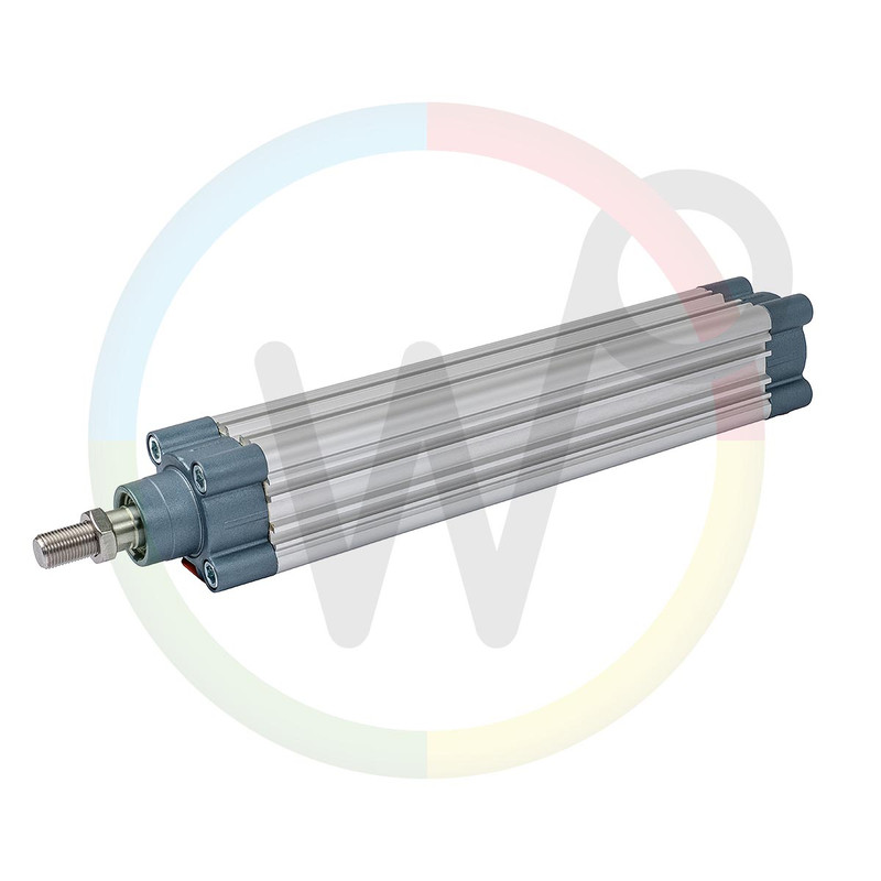 Luchtcilinder DN50 x 250