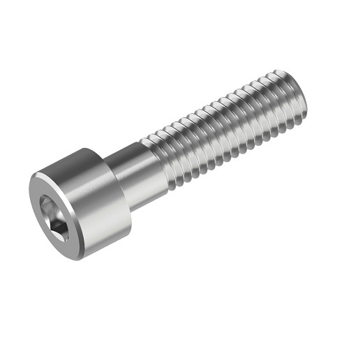 [ACE11129] RVS inbusbout cil kop M8 x 60 voor ondergeleiding