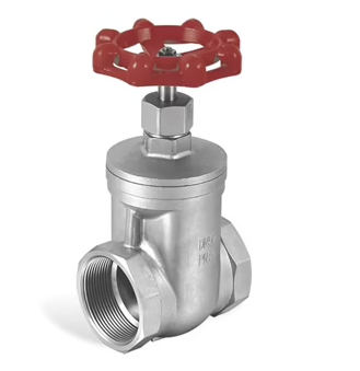 [ACE11560] Robinet-vanne en acier inoxydable de 1/2 "