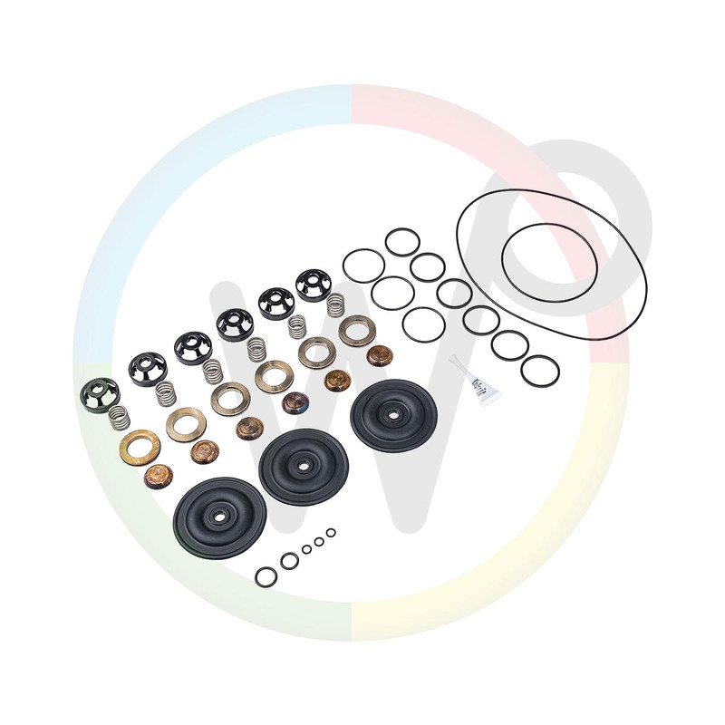 Kit revision Wanner complète, valves, et membranes. pour pompe G25