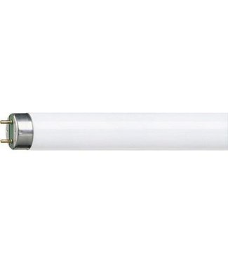 Tube fluorescent à LED 150cm 22W pour arc montrent Holz,