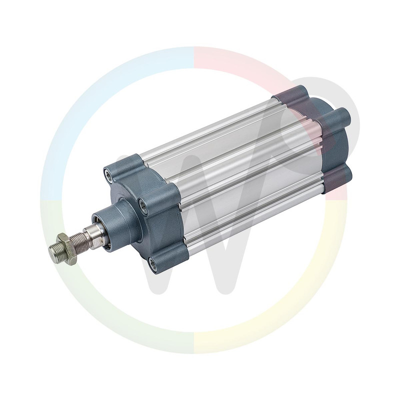 [WP431218] Vérin pneumatique DN80 x 125 pour sèche-toit