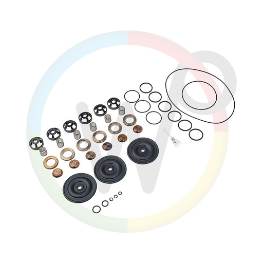[WP431513] Kit revision Wanner complète, valves, et membranes. pour pompe G25