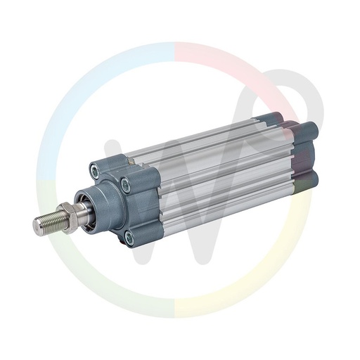 [WP432111] Luchtcilinder DN50 x 100