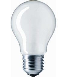 [Ace12239] Ampoule LED E27 10W pour Holz show arc