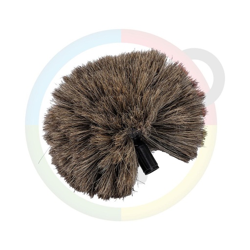[Ace12635] Brosse universelle (WC) COAST!